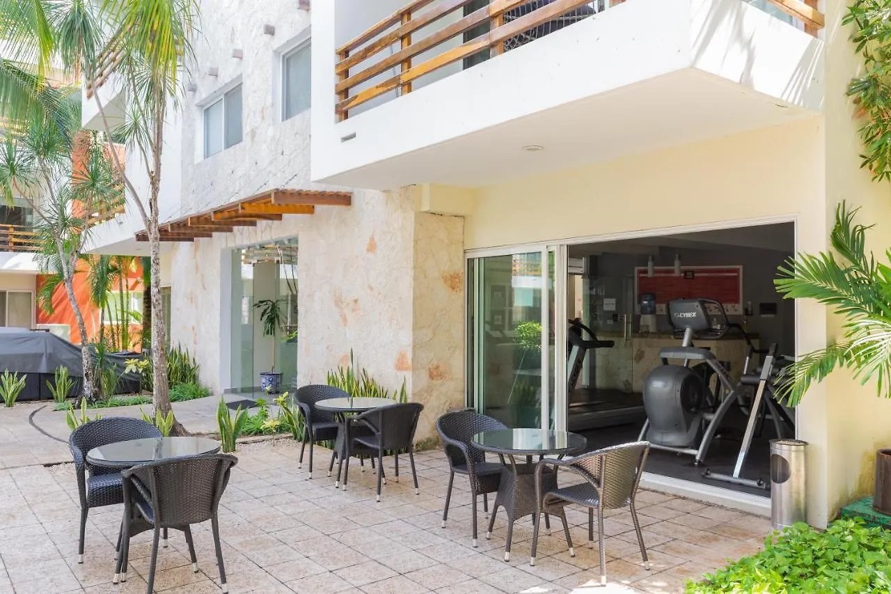 Phenomenal Combo Of 2 Separate Ph 1 In Playa Del Carmen With Private Jacuzzi, Chic Amenities, Gym And 2 Rooftops Apartment